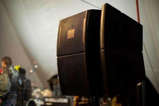 Best DJ Speakers for Weddings Best DJ Speakers for Weddings
